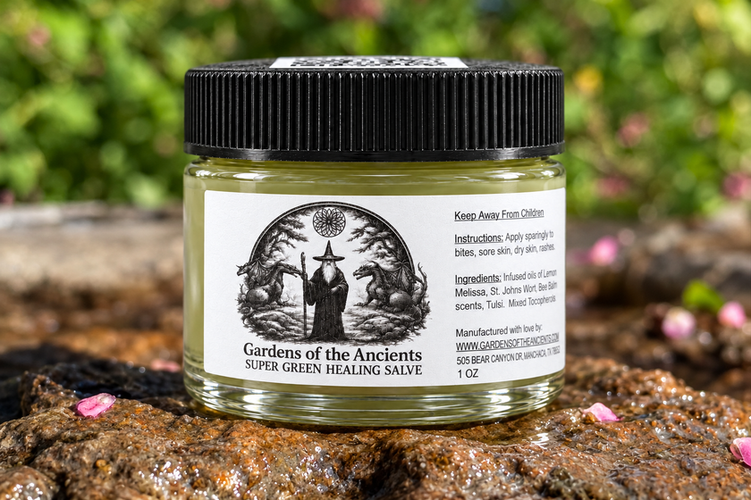 Super Green Healing Salve 1oz jar, handmade by GARDENS OF THE ANCIENTS®