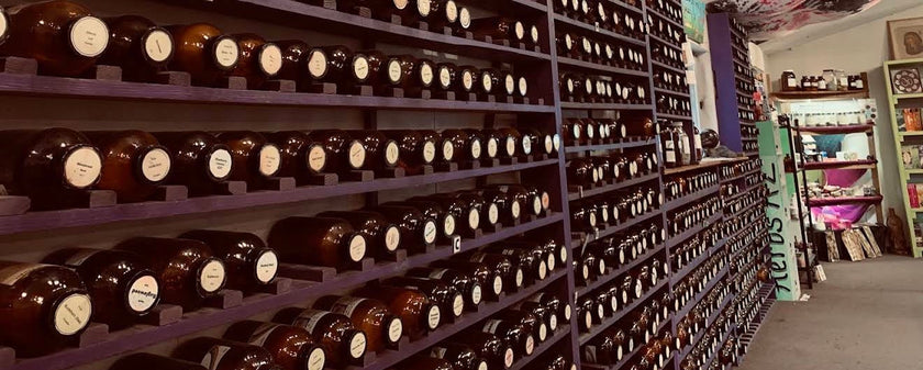 Shelves of bulk dried herbs in amber jars at GARDENS OF THE ANCIENTS