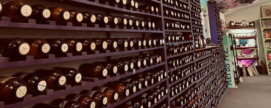 Shelves of bulk dried herbs in amber jars at GARDENS OF THE ANCIENTS