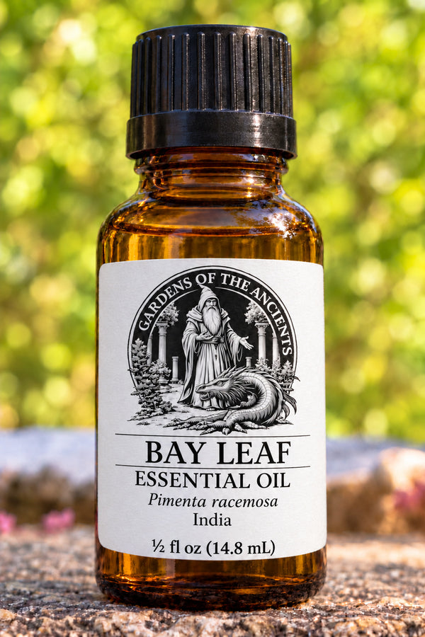 Bay Leaf Essential Oil – Pimenta racemosa India – GARDENS OF THE ANCIENTS®