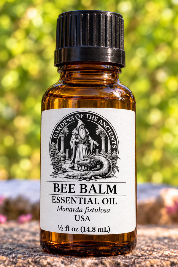 Bee Balm Essential Oil – Monarda fistulosa USA – GARDENS OF THE ANCIENTS®