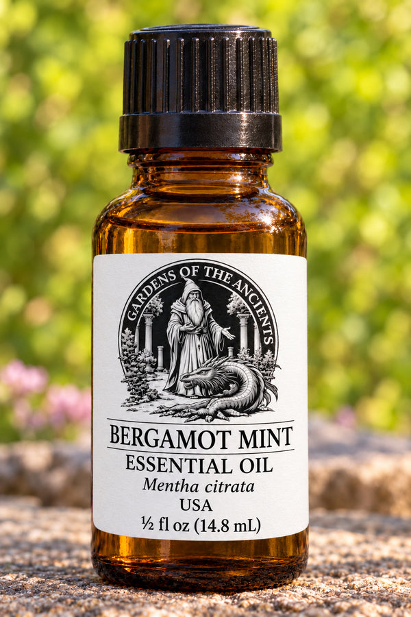 Bergamot Mint Essential Oil – Mentha citrata USA – GARDENS OF THE ANCIENTS®
