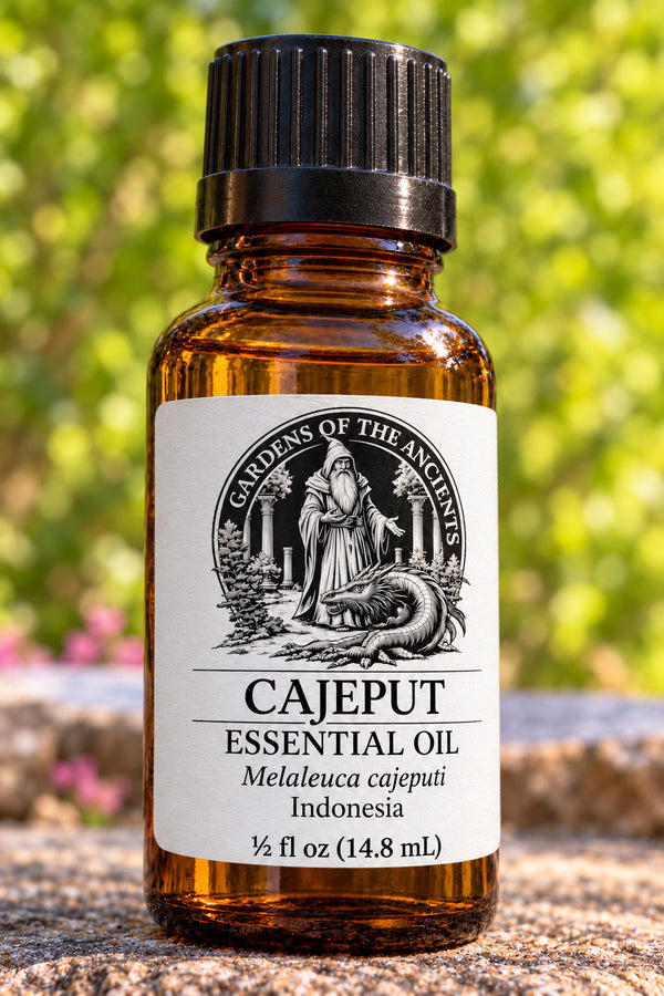 Cajeput Essential Oil – Melaleuca cajeputi Indonesia – GARDENS OF THE ANCIENTS®