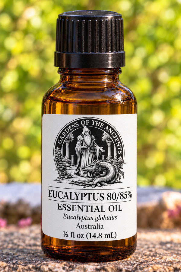 Eucalyptus Essential Oil – Eucalyptus globulus Australia 80/85% – GARDENS OF THE ANCIENTS®