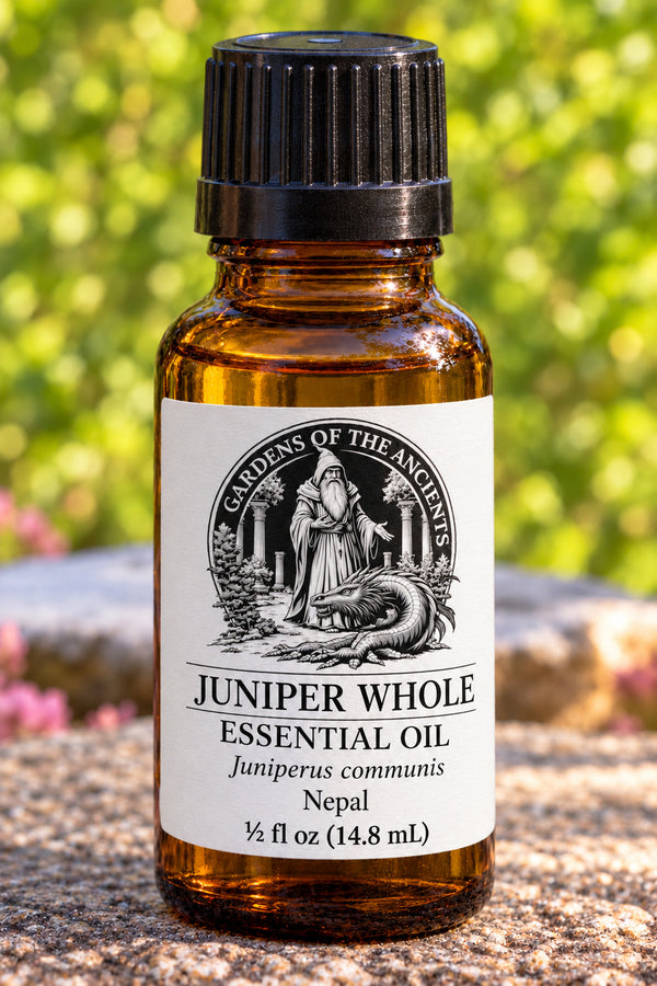 Juniper Whole Essential Oil – Juniperus communis Nepal – GARDENS OF THE ANCIENTS®