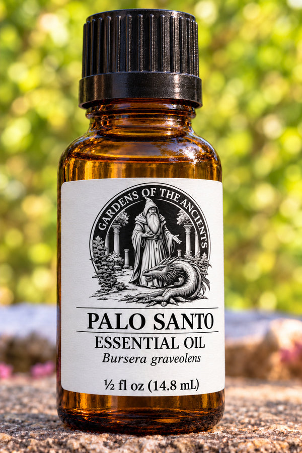 Palo Santo Essential Oil – Bursera graveolens – GARDENS OF THE ANCIENTS®
