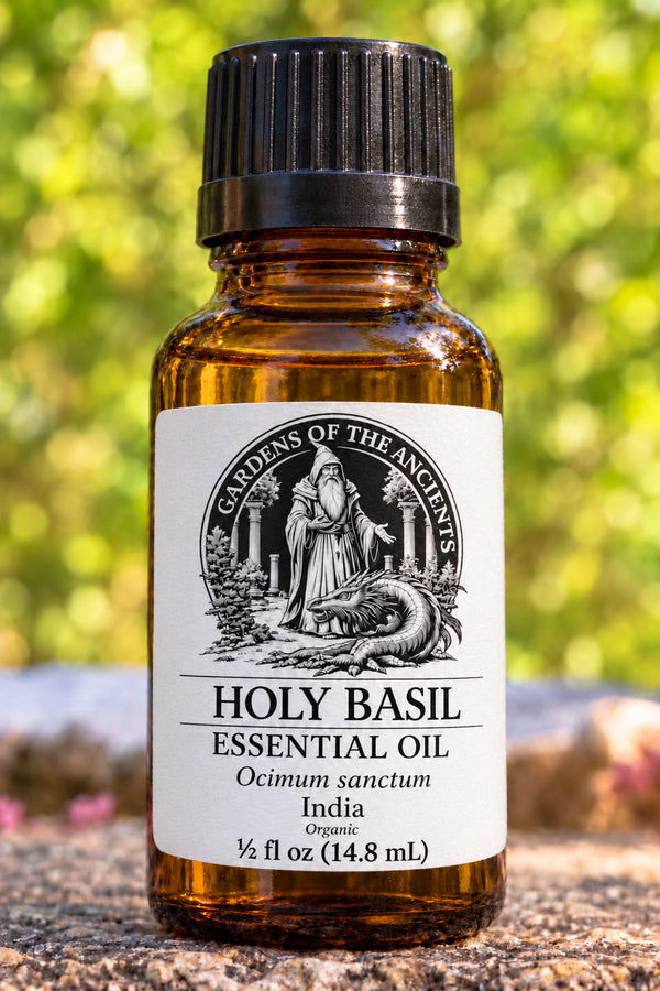 Holy Basil Essential Oil – Ocimum sanctum India – GARDENS OF THE ANCIENTS®