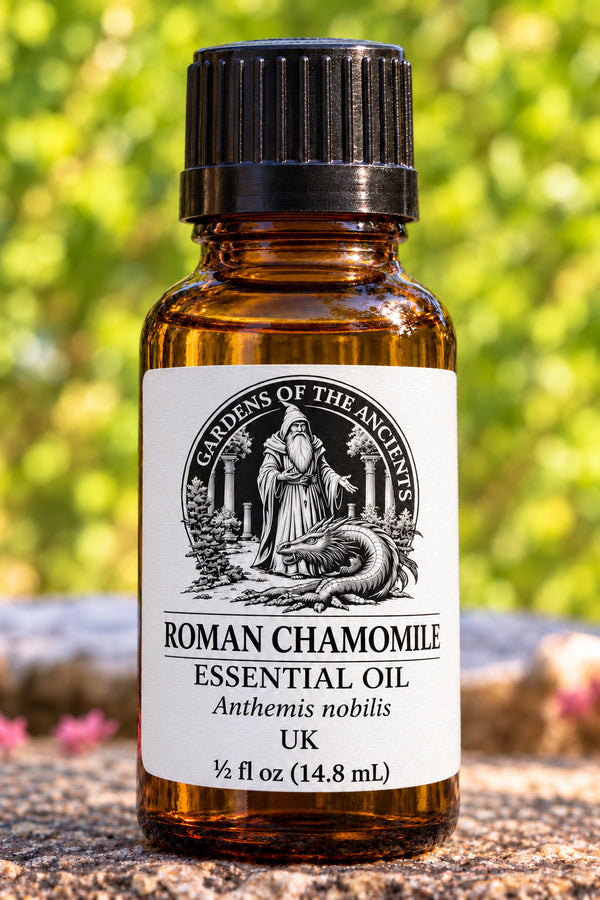 Roman Chamomile Essential Oil – Anthemis nobilis UK – GARDENS OF THE ANCIENTS®