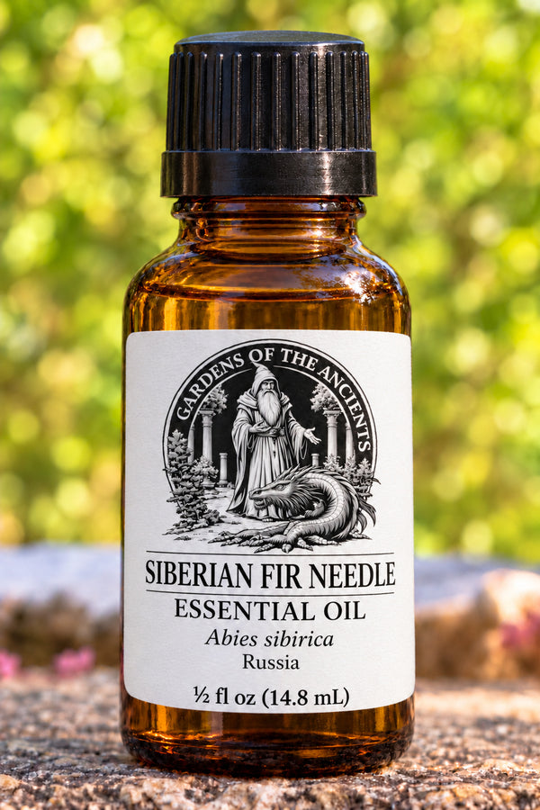 Siberian Fir Needle Essential Oil – Abies sibirica Russia – GARDENS OF THE ANCIENTS®