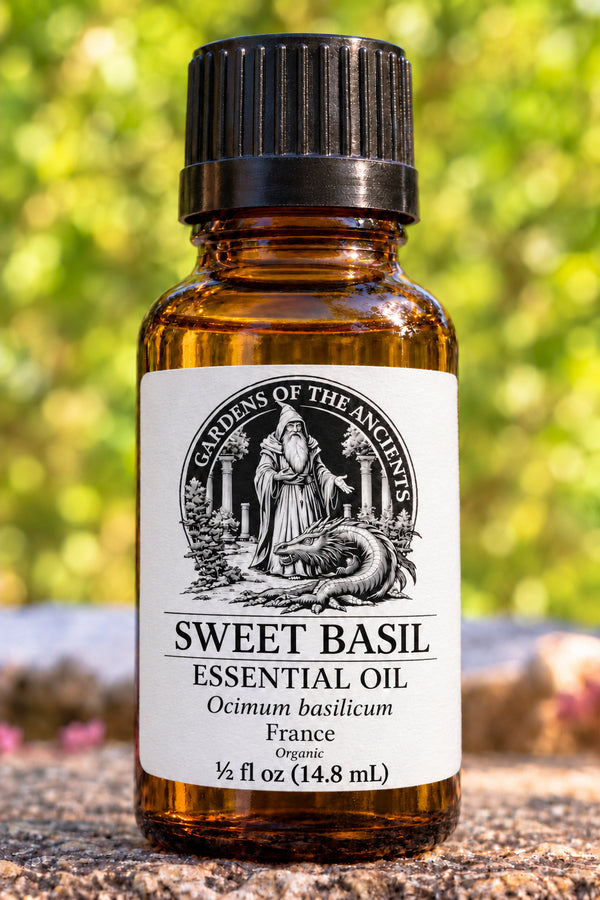 Sweet Basil Essential Oil – Ocimum basilicum France – GARDENS OF THE ANCIENTS®