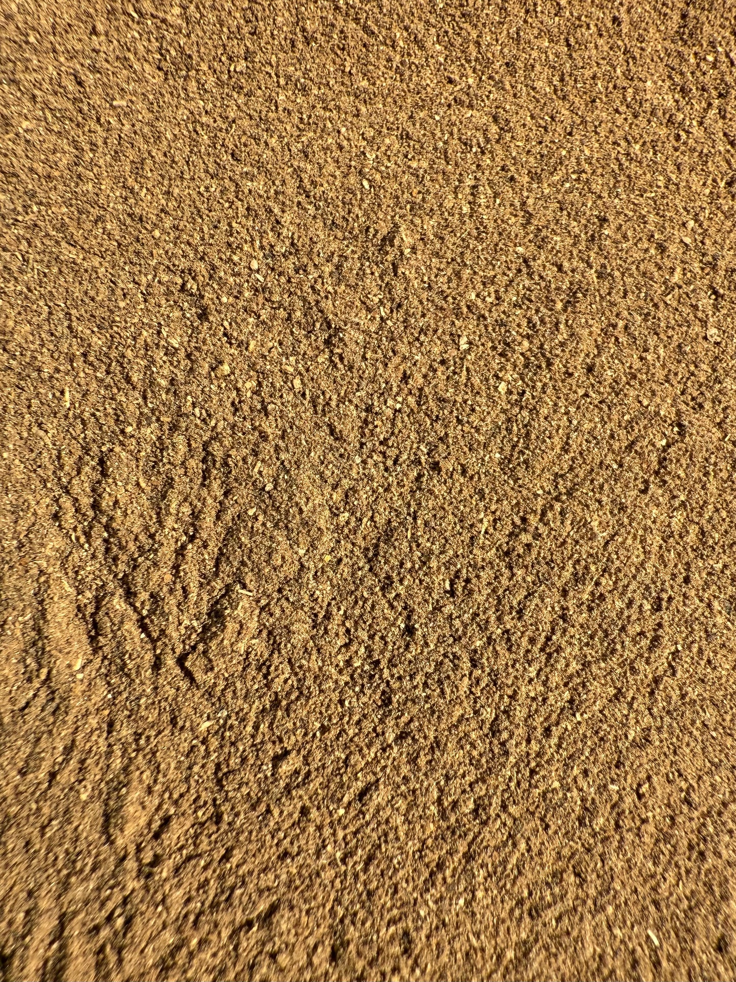 Black Cohosh Root (Actaea racemosa) Organic