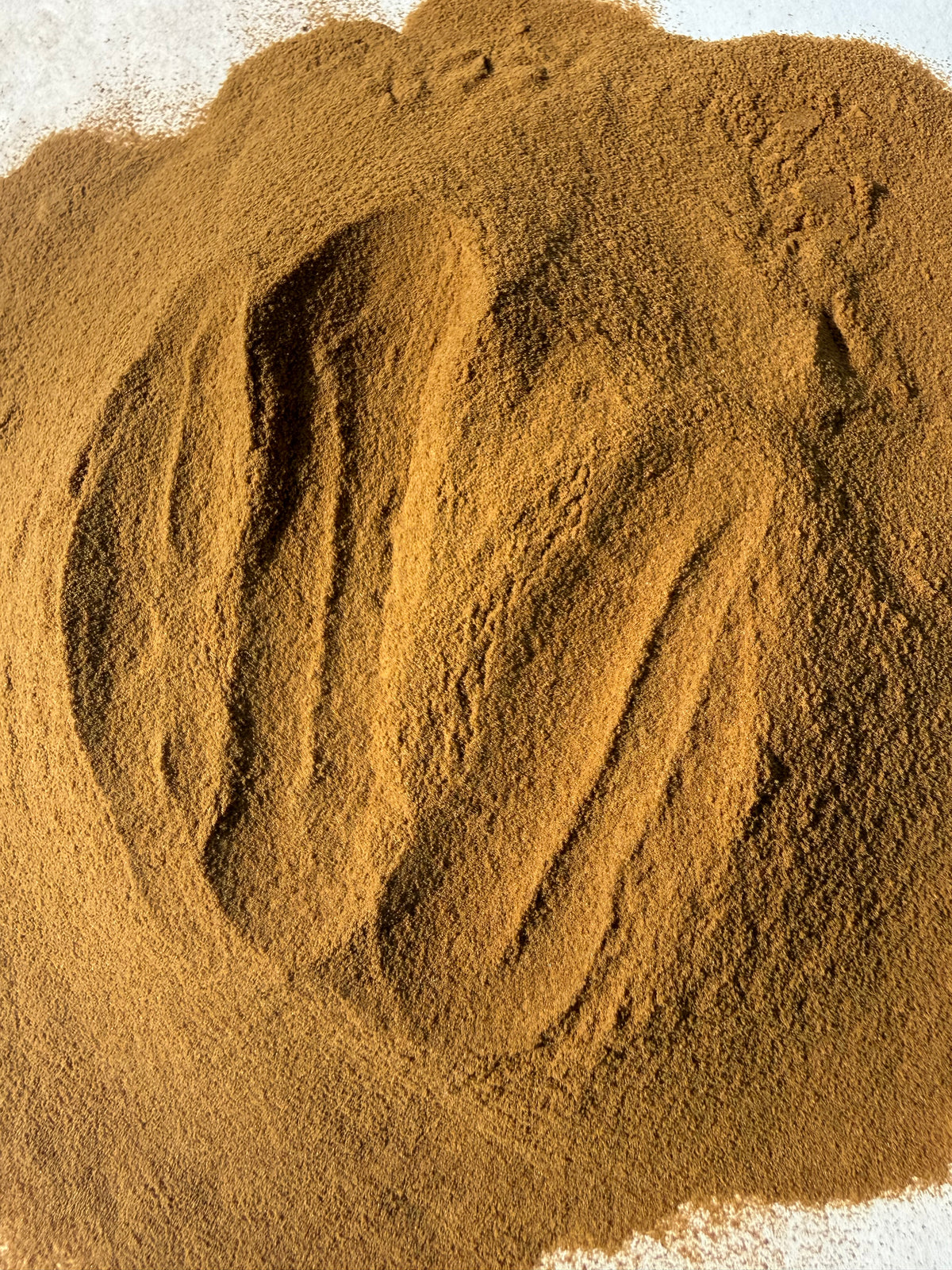 Chanca Piedra Extract Powder 4:1 (Phyllanthus niruri) – GARDENS OF THE ANCIENTS®