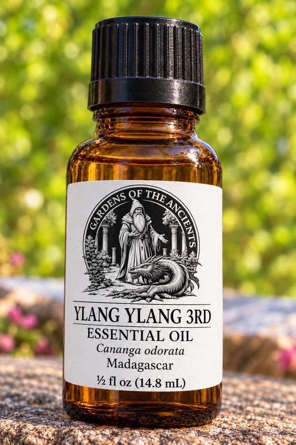 Ylang Ylang 3rd Essential Oil – Cananga odorata Madagascar – GARDENS OF THE ANCIENTS®