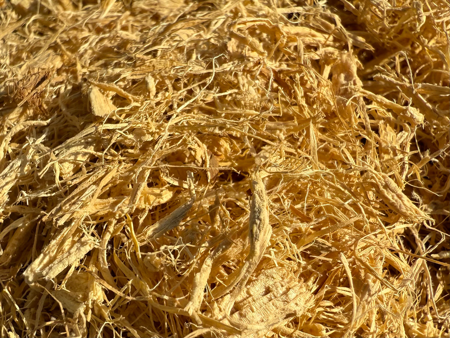 Mulungu