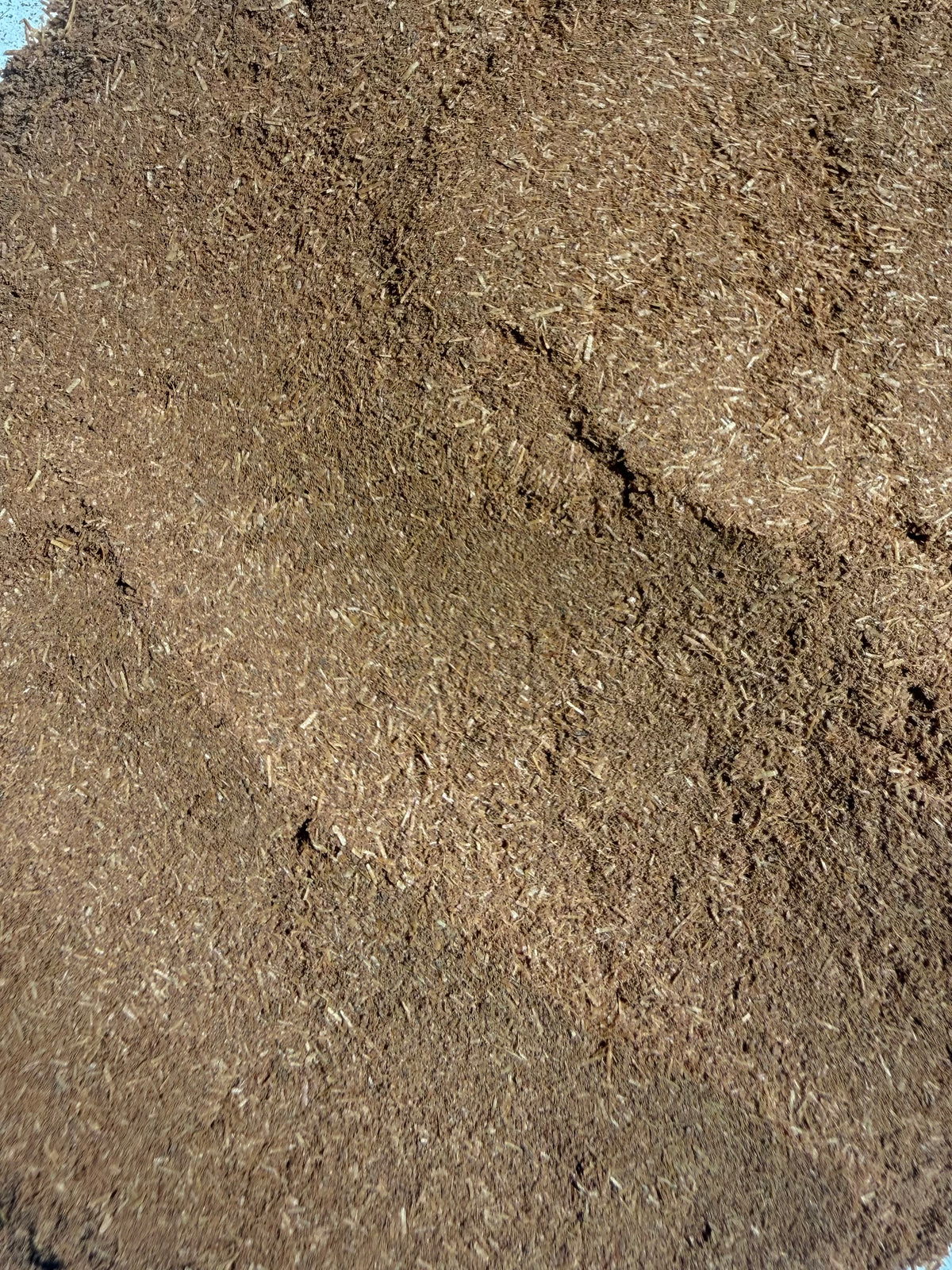 Cat's Claw Bark Powder (Uncaria tomentosa) – GARDENS OF THE ANCIENTS®