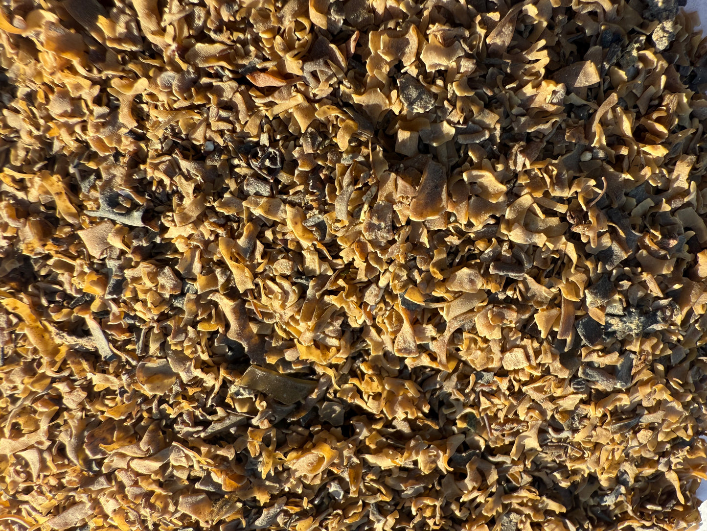 Irish Moss Flakes Organic