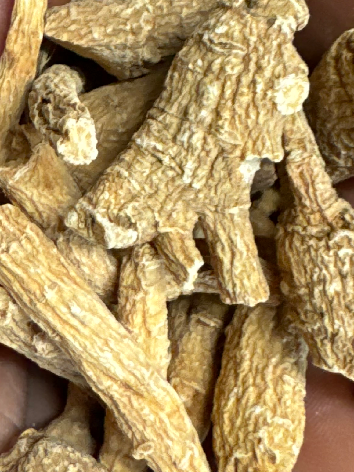 American Ginseng Whole Root Grade A organic