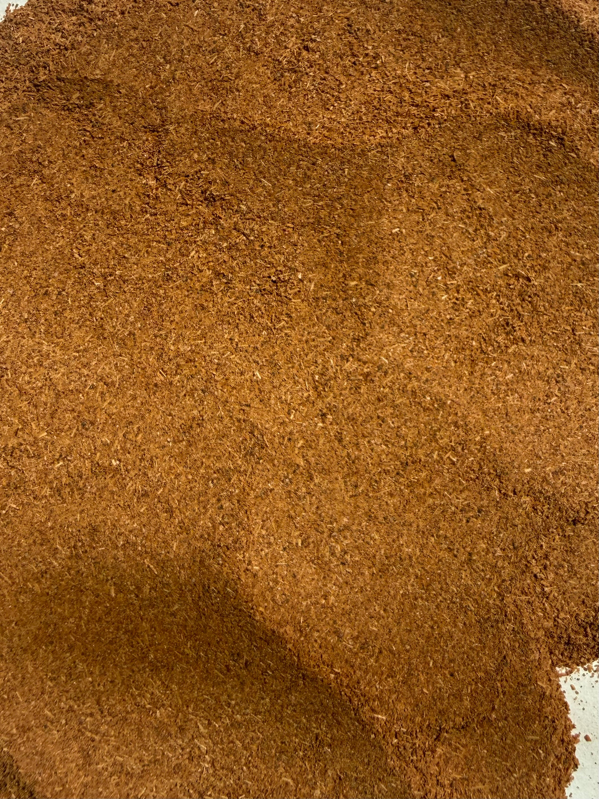 Catuaba Bark Powder (Trichilia catigua) – GARDENS OF THE ANCIENTS®