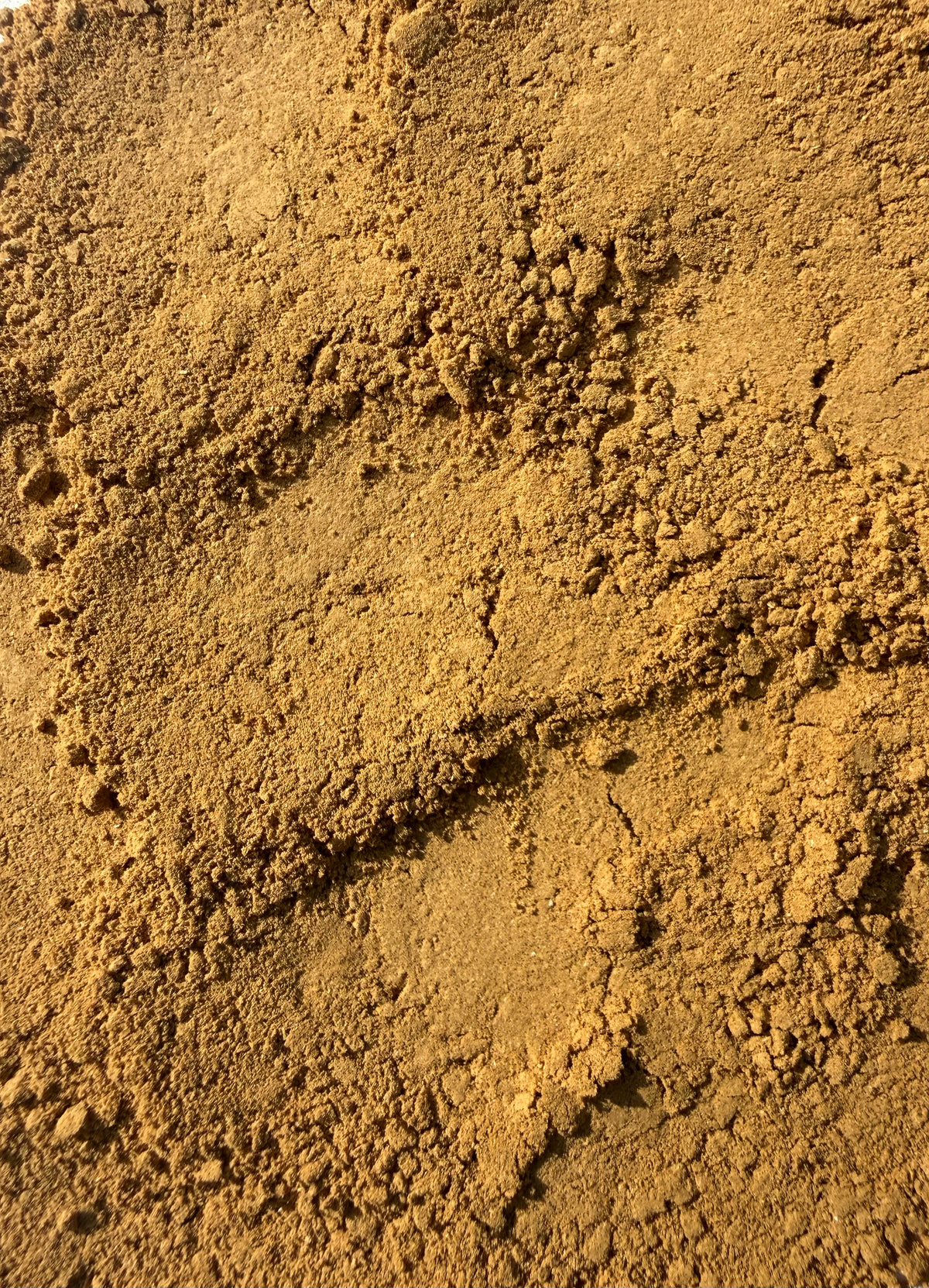 Burdock Root Powder (Arctium lappa) – GARDENS OF THE ANCIENTS®