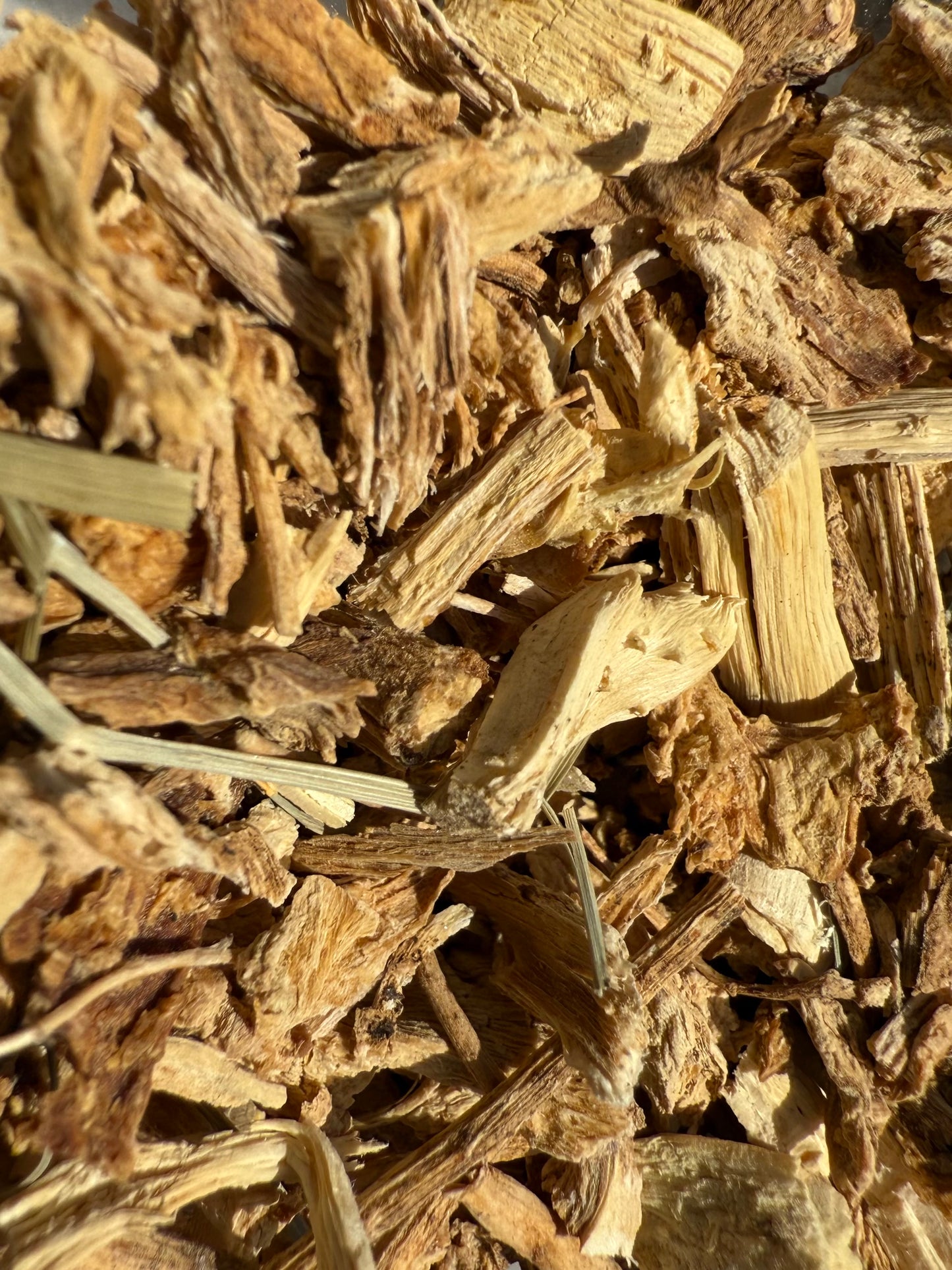 Parsley Root Italian USDA Organic