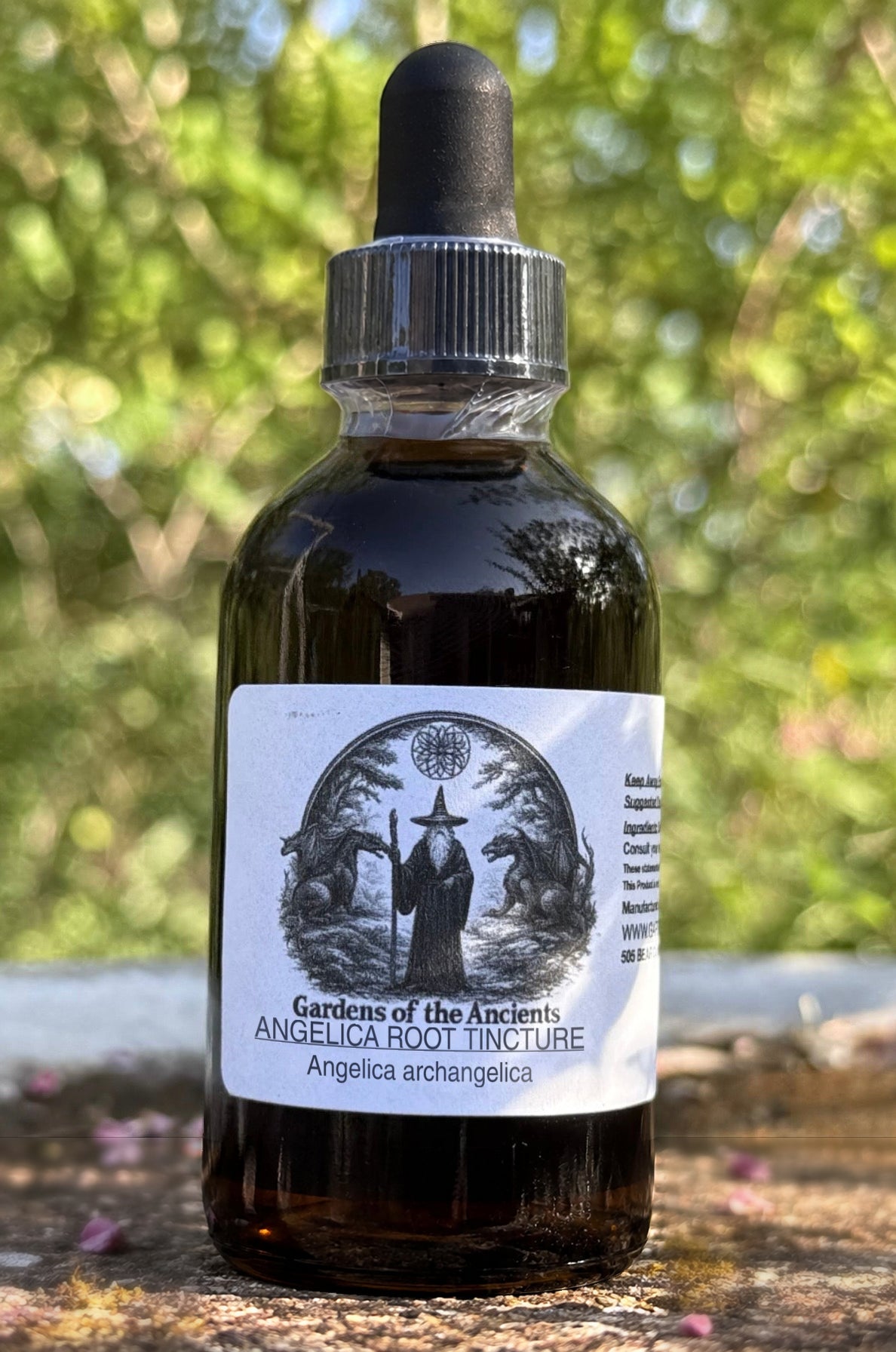 Angelica Root Tincture (Angelica archangelica) – GARDENS OF THE ANCIENTS®