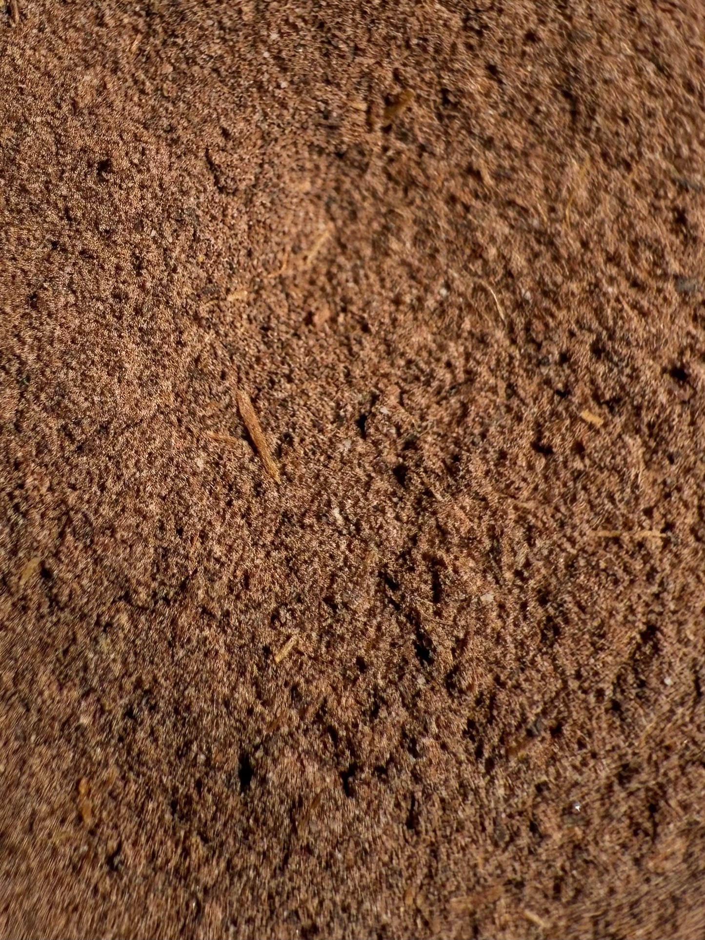 Arjuna Bark Powder Organic