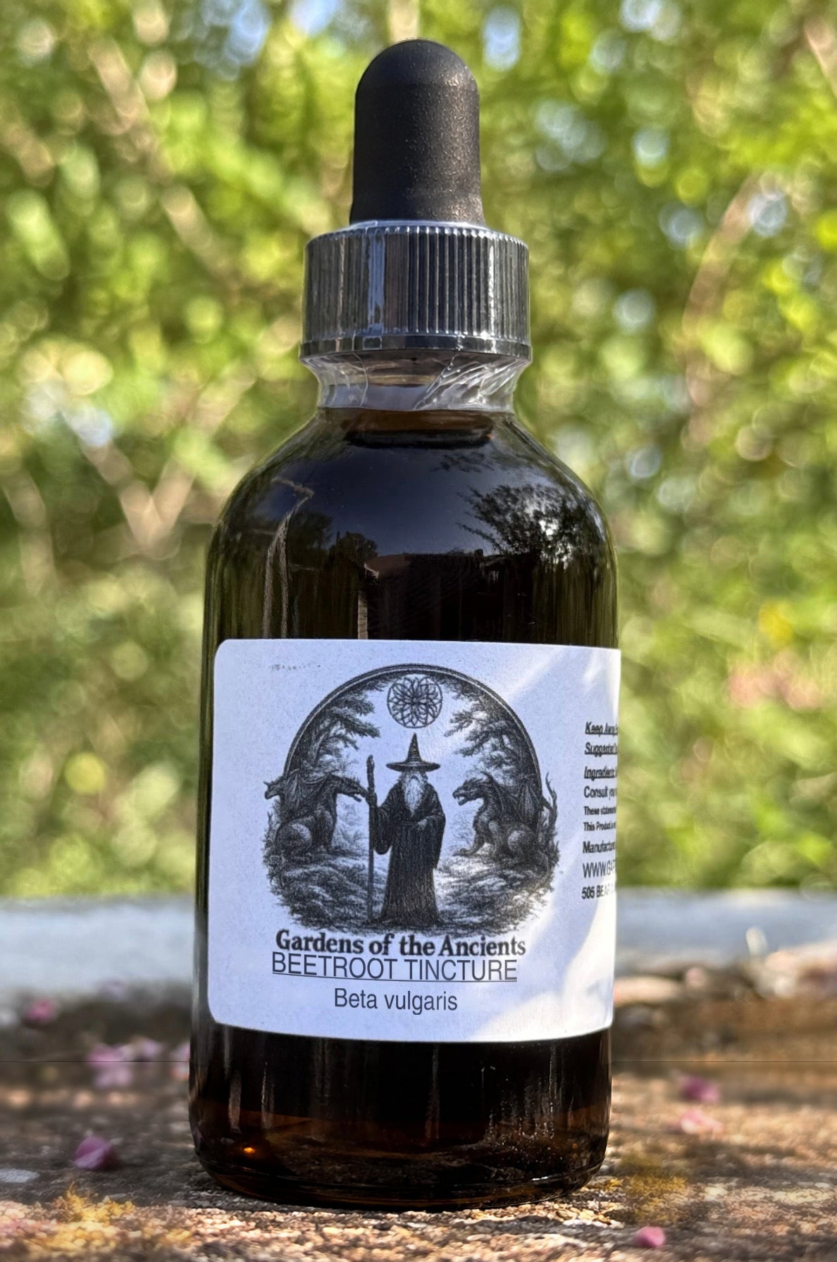 Beetroot Tincture (Tian Cai Gen 甜菜根, Beta vulgaris) – GARDENS OF THE ANCIENTS®