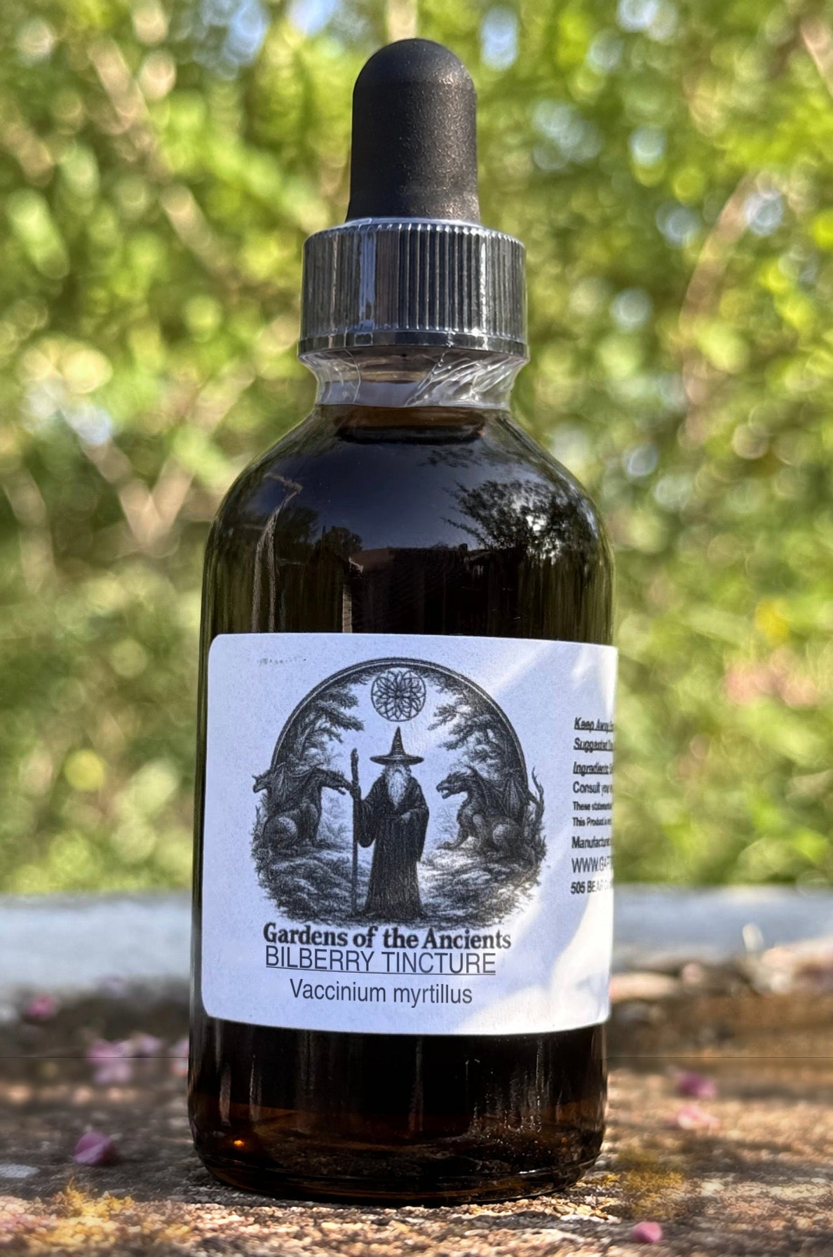 Bilberry Tincture (Vaccinium myrtillus) – GARDENS OF THE ANCIENTS®