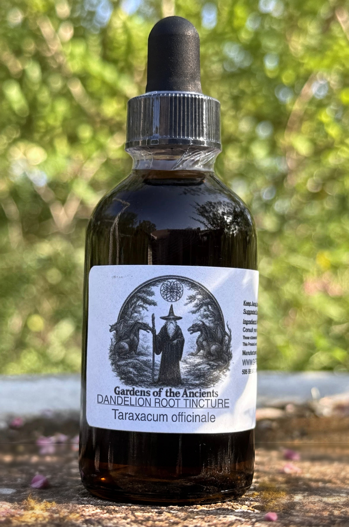 Dandelion Root Tincture – Taraxacum officinale (Pu Gong Ying 蒲公英) – GARDENS OF THE ANCIENTS®
