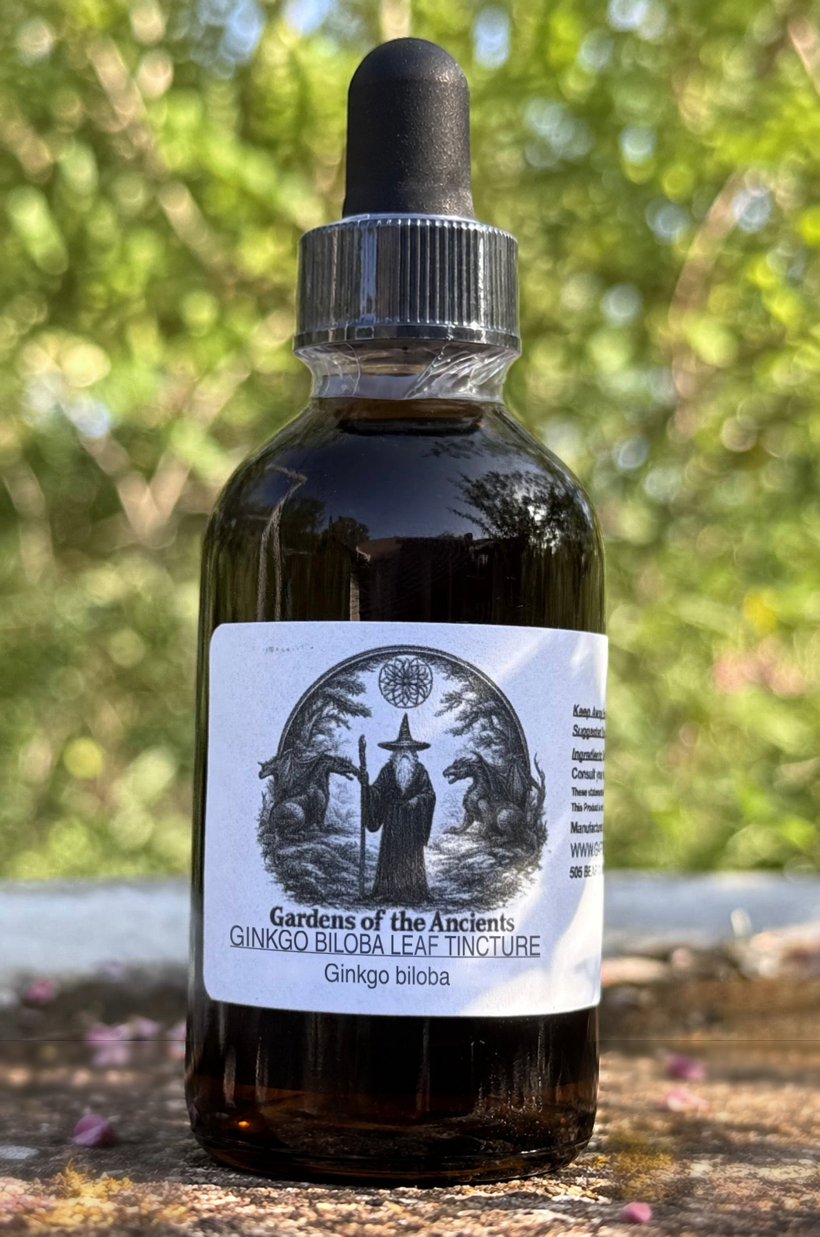 Ginkgo Biloba Leaf Tincture – Ginkgo biloba (Yin Xing Ye 银杏叶) – GARDENS OF THE ANCIENTS®