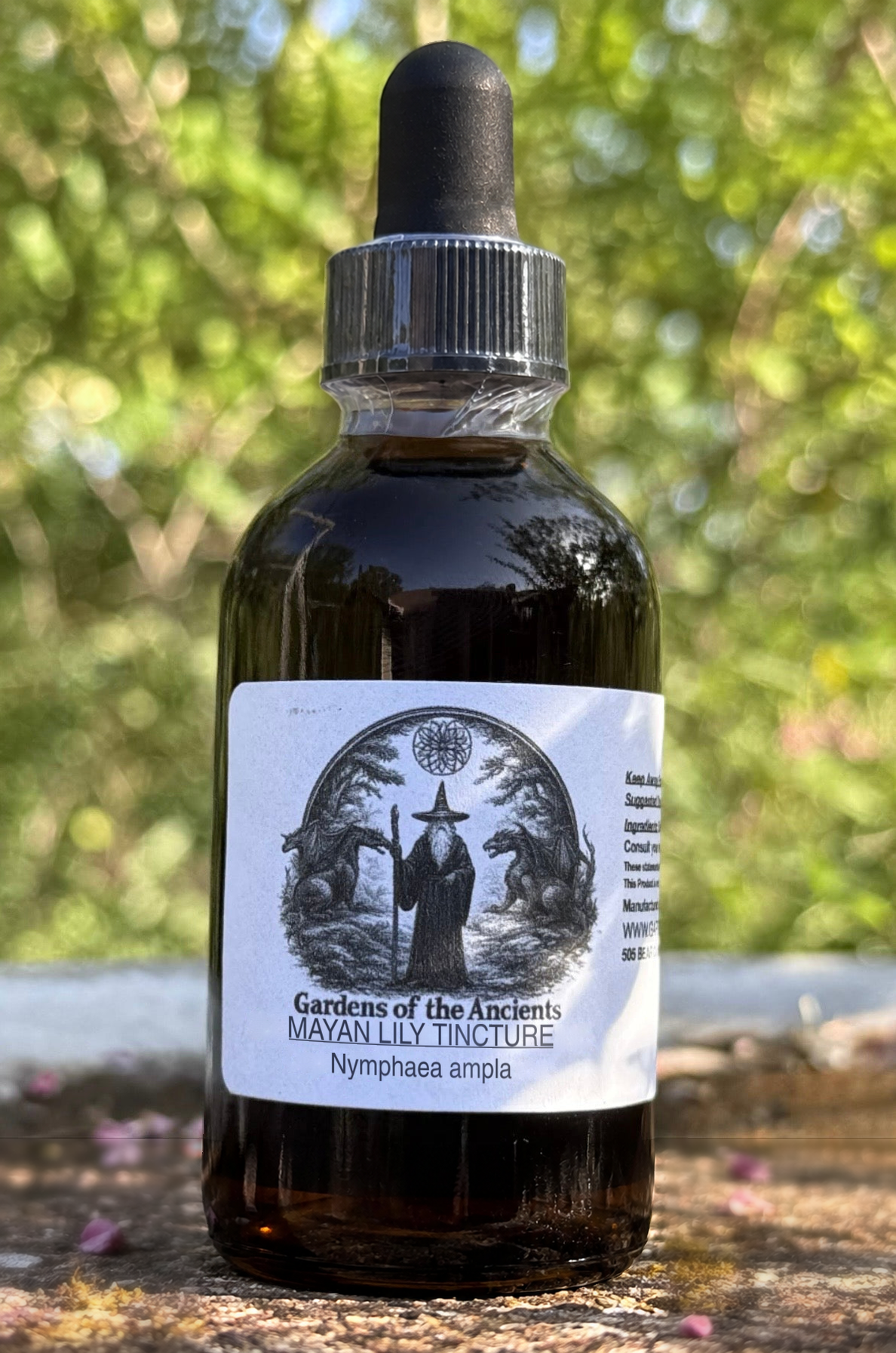 Mayan Lily Tincture – Nymphaea ampla – GARDENS OF THE ANCIENTS®
