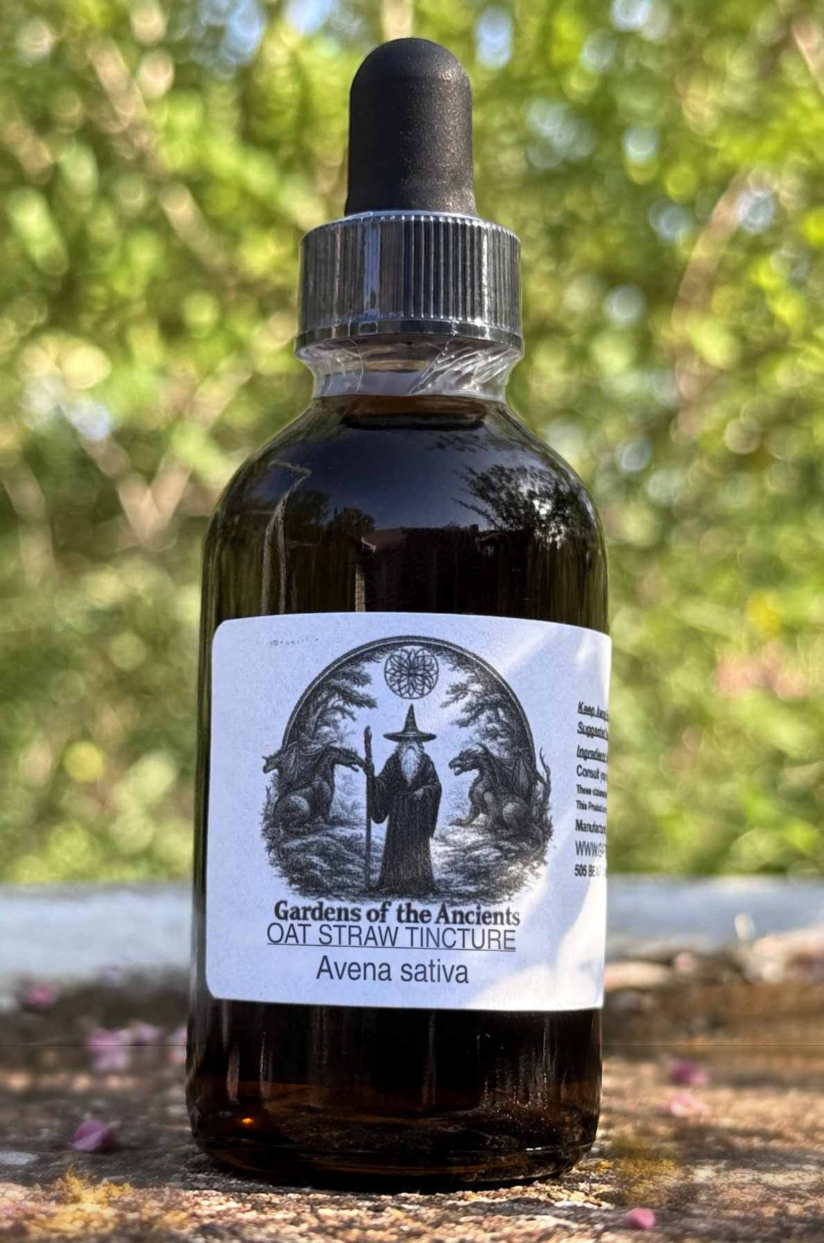 Oat Straw Tincture – Avena sativa – GARDENS OF THE ANCIENTS®