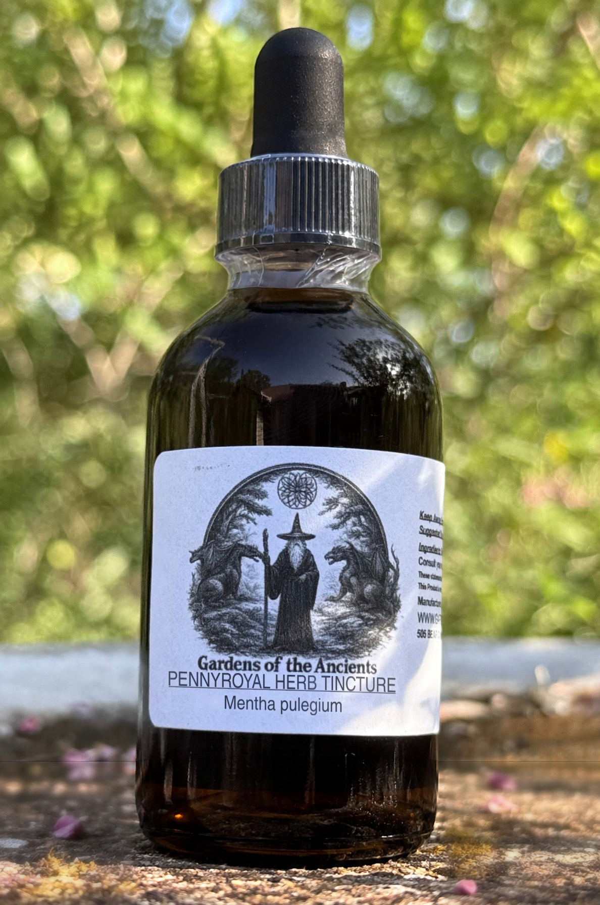 Pennyroyal Herb Tincture – Mentha pulegium – GARDENS OF THE ANCIENTS®