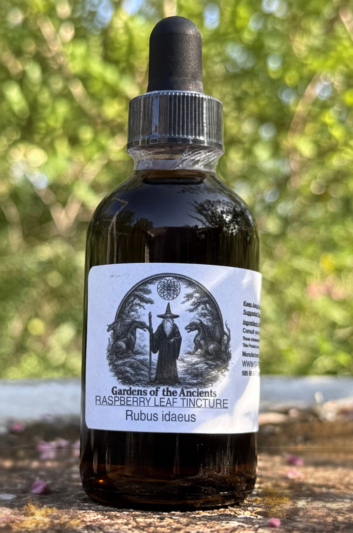 Raspberry Leaf Tincture – Rubus idaeus – GARDENS OF THE ANCIENTS®