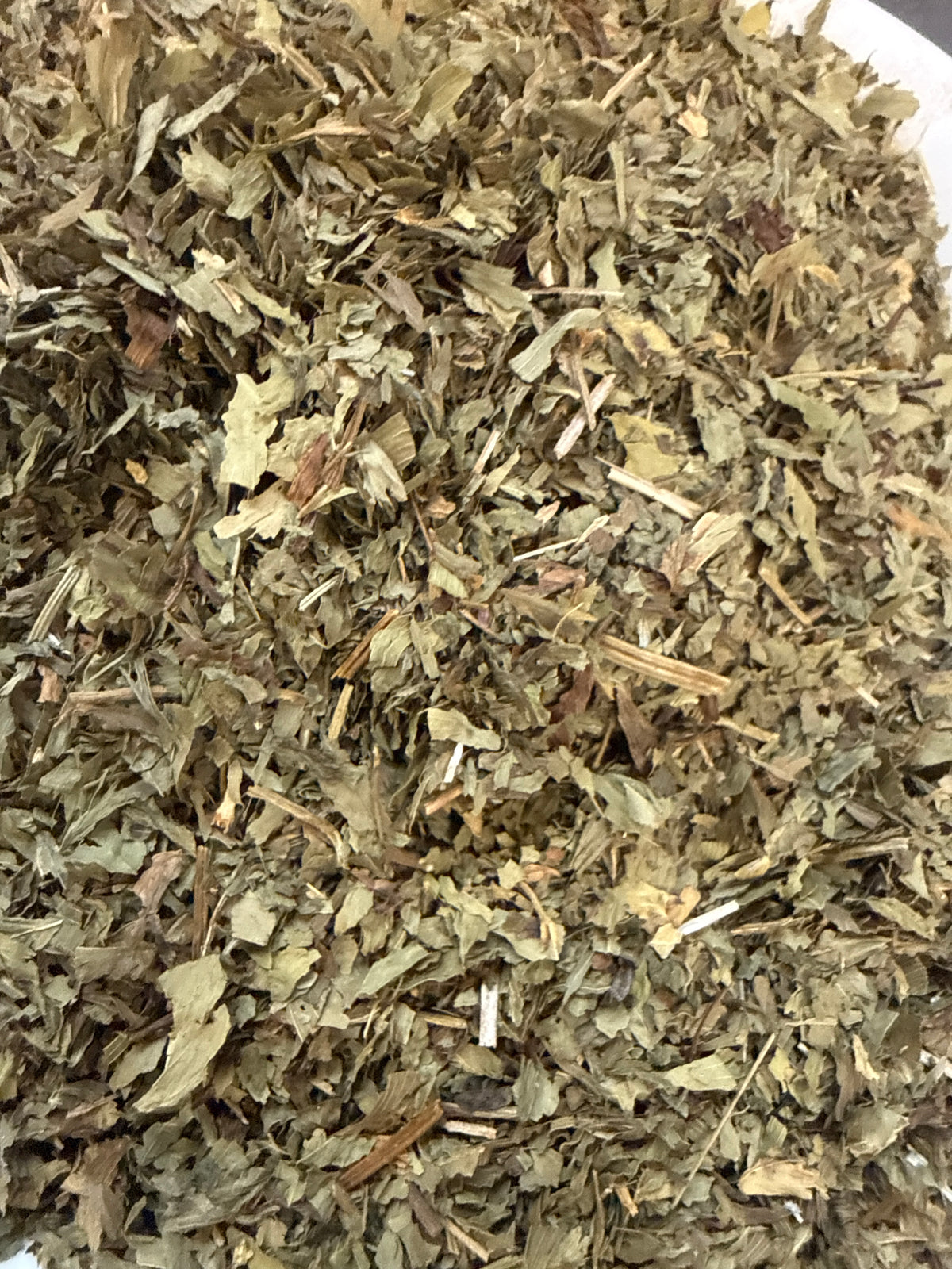 Red Clover Herb – Trifolium pratense – GARDENS OF THE ANCIENTS®