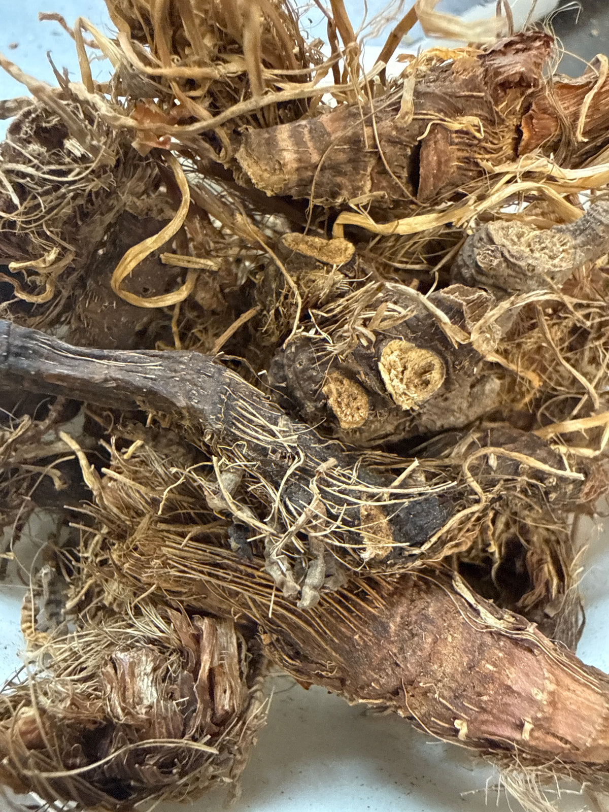 Blue Flag Root Whole (Iris versicolor) Organic