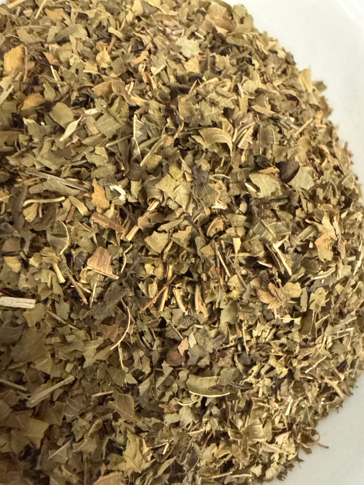Lemon Verbena Leaf Cut (Aloysia citrodora) – GARDENS OF THE ANCIENTS®