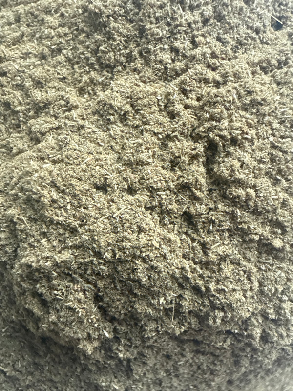Sweet Violet Leaf Powder – Viola odorata – GARDENS OF THE ANCIENTS®