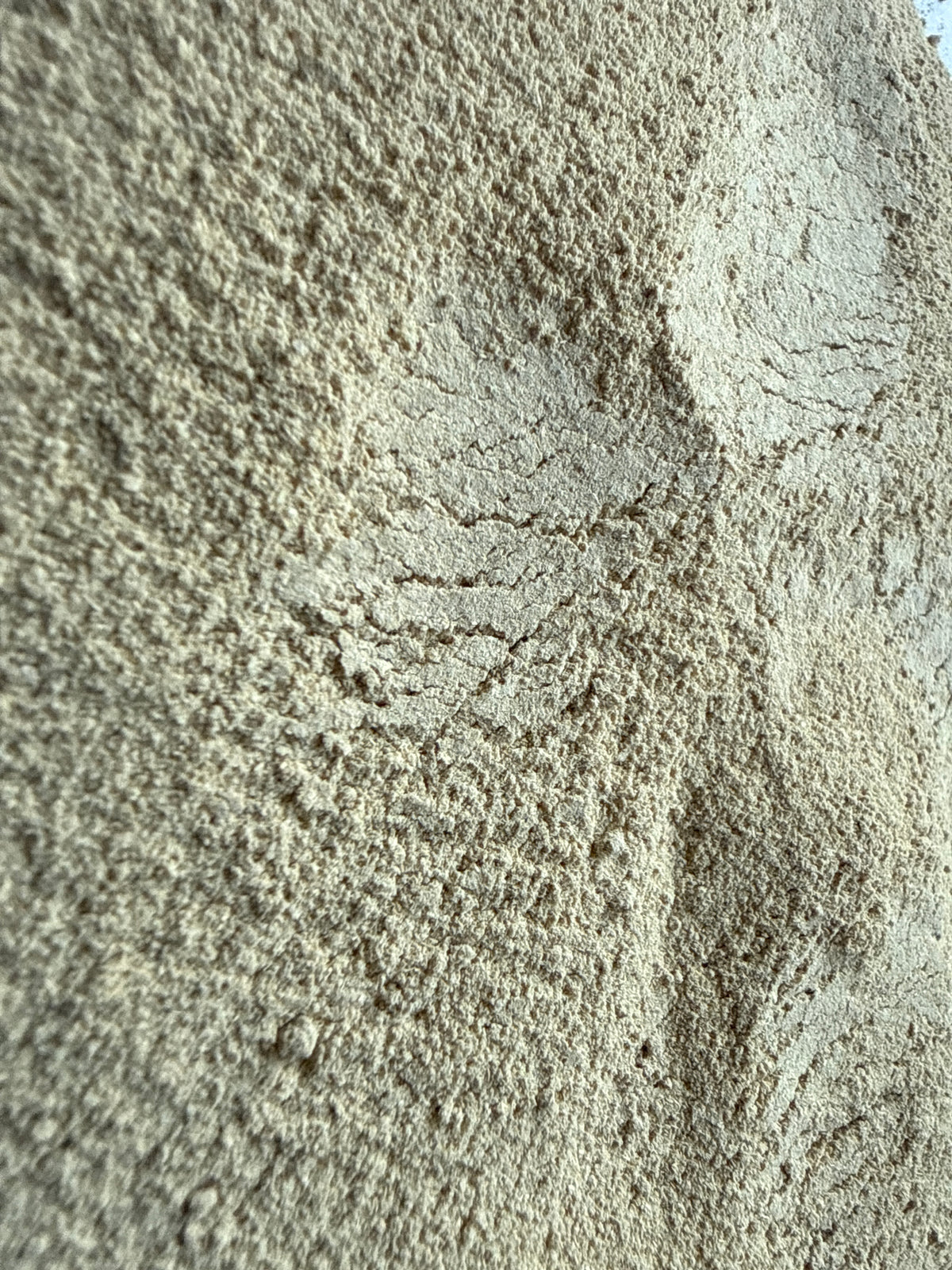 LongJack Powder (Eurycoma longifolia) – GARDENS OF THE ANCIENTS®