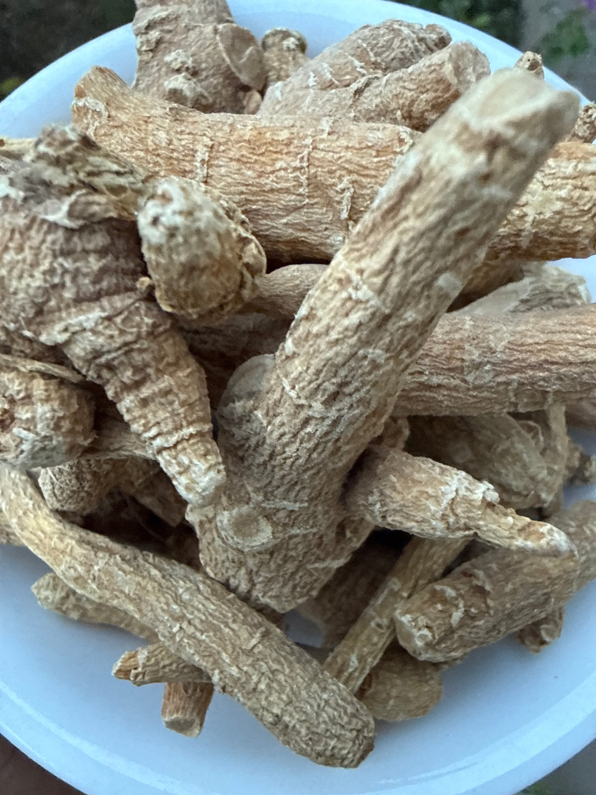 Chinese Panax Ginseng Root Whole (Ren Shen 人参, Panax ginseng) Organic