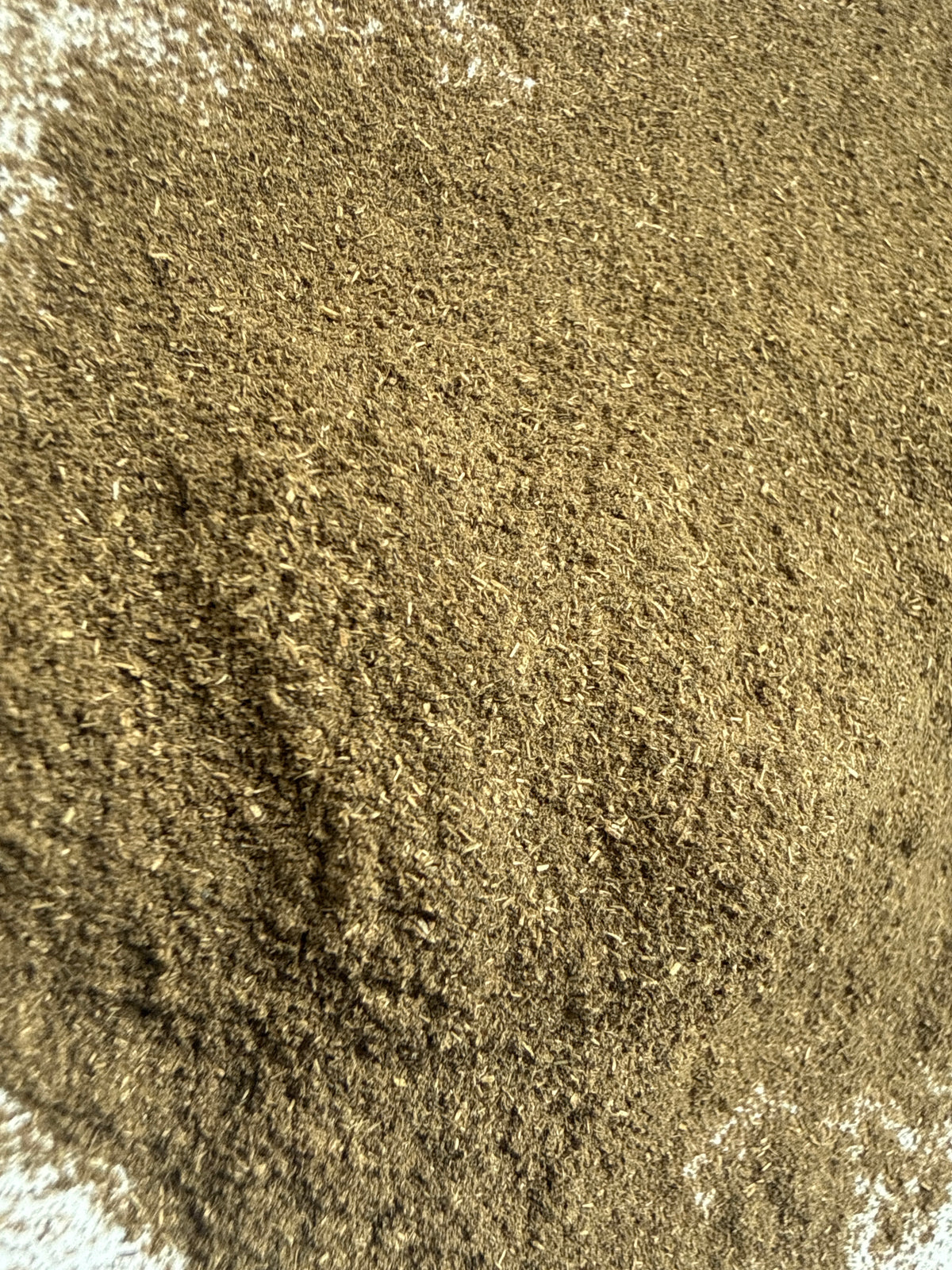 Peppermint Extract Powder 4:1 (Mentha × piperita) – GARDENS OF THE ANCIENTS®