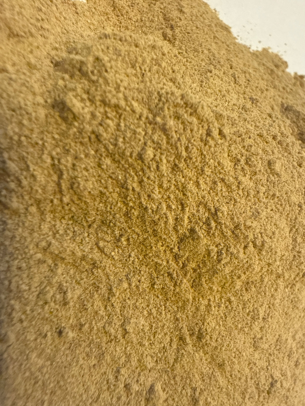 Pumpkin Seed Powder (Cucurbita pepo) – GARDENS OF THE ANCIENTS®