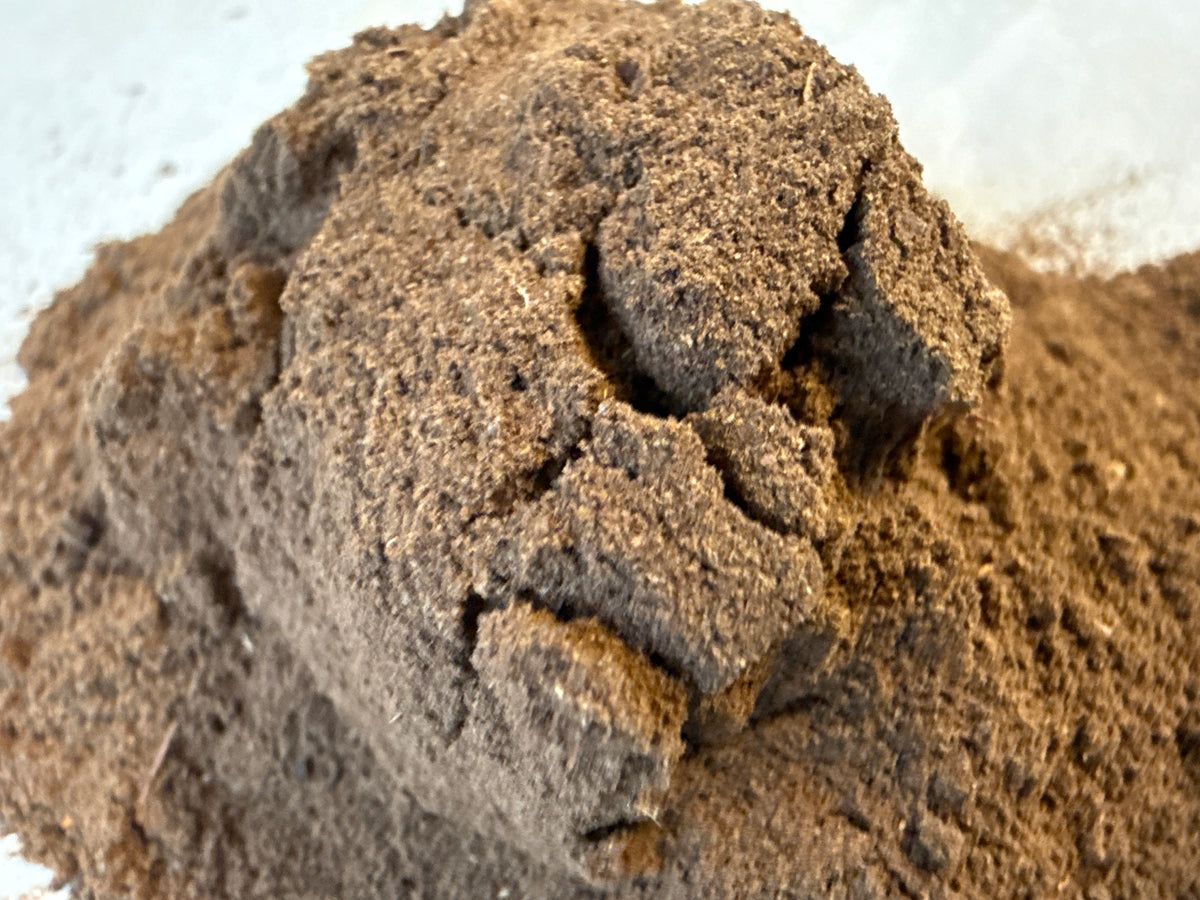 Rhodiola Rosea Powder (Rhodiola rosea) Organic – GARDENS OF THE ANCIENTS®