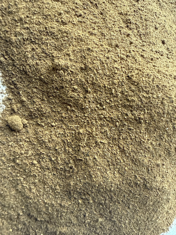 Yellow Dock Root Powder – Rumex crispus – GARDENS OF THE ANCIENTS®