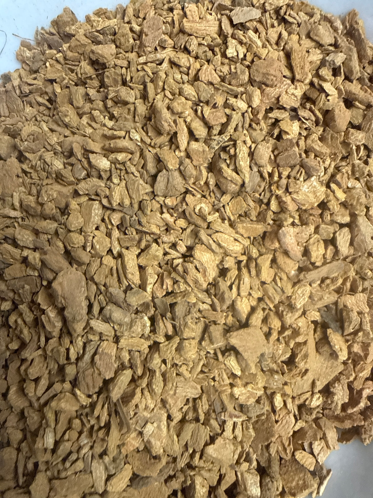 Japanese Knotweed Root Fine Cut (Reynoutria japonica)