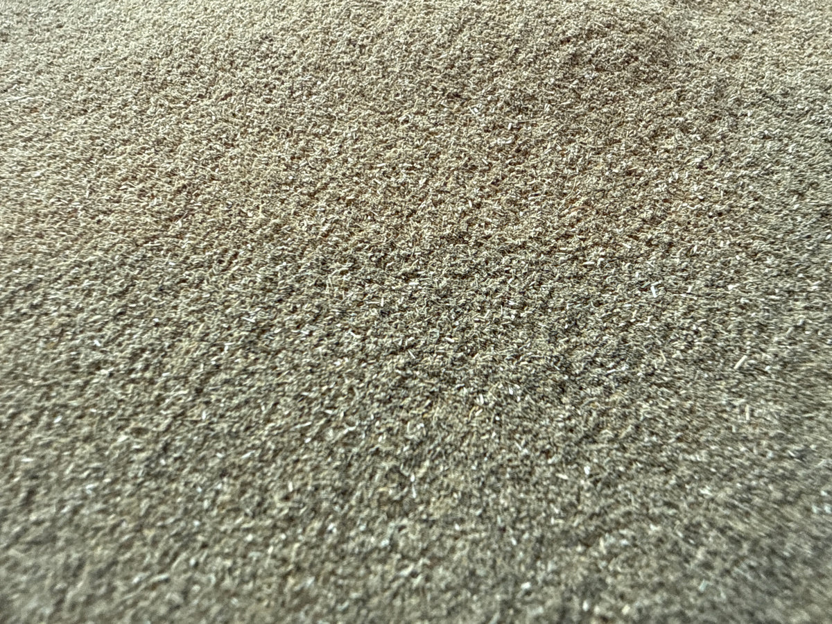 Japanese Knotweed Powder (Reynoutria japonica) – GARDENS OF THE ANCIENTS®