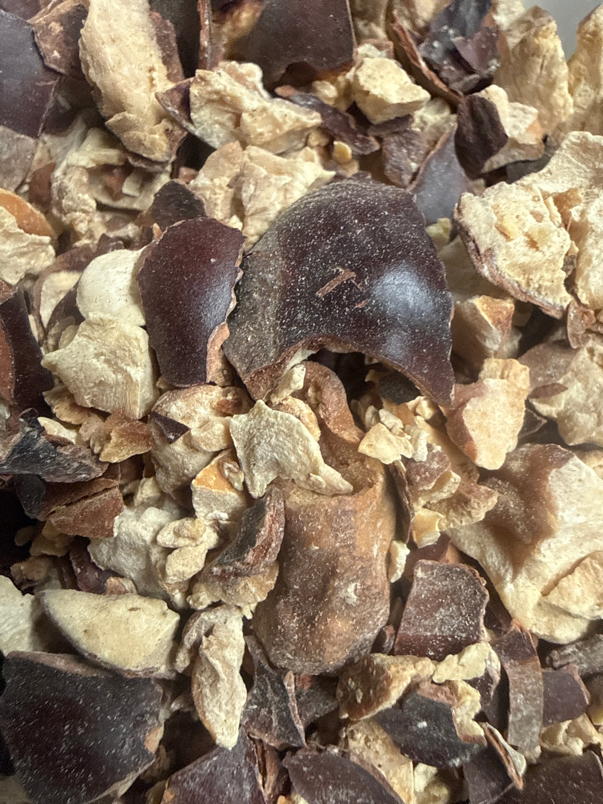 Horse Chestnuts Whole – Aesculus hippocastanum – GARDENS OF THE ANCIENTS®