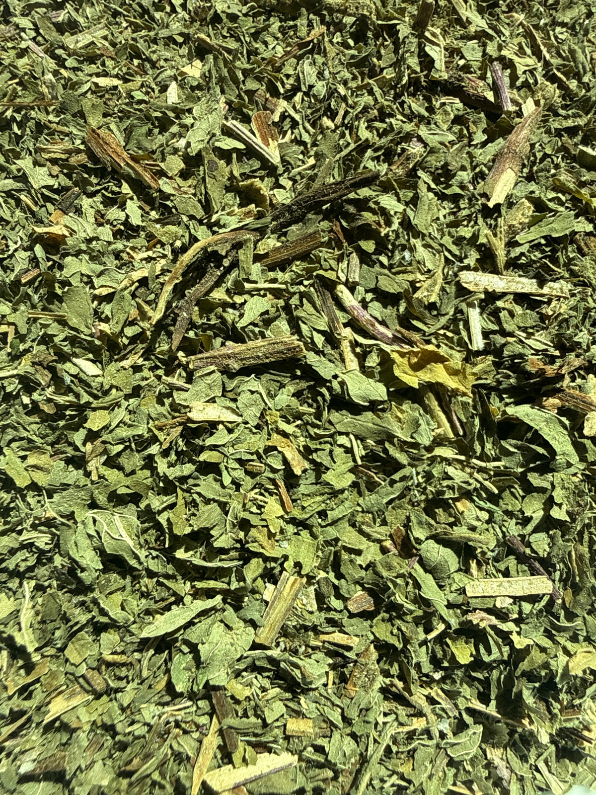 Spearmint Leaf Cut (Mentha spicata) Organic – GARDENS OF THE ANCIENTS®