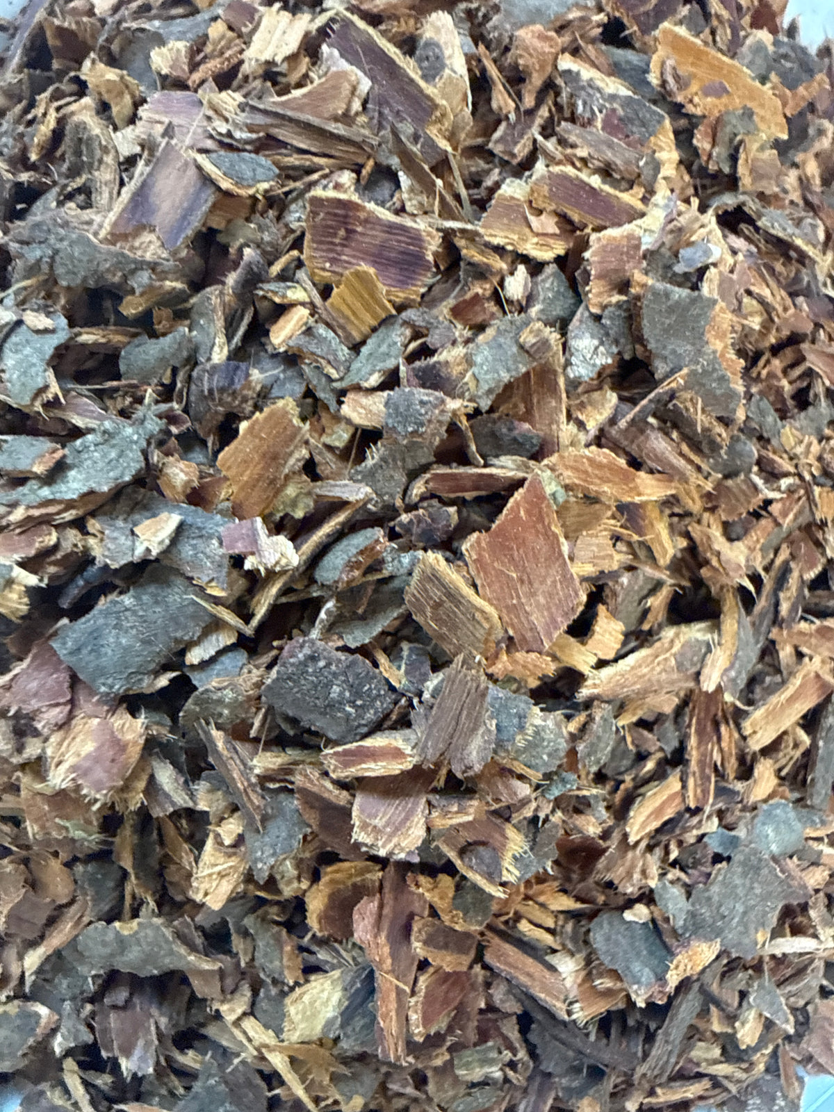 Buckthorn Bark (Frangula alnus) Organic