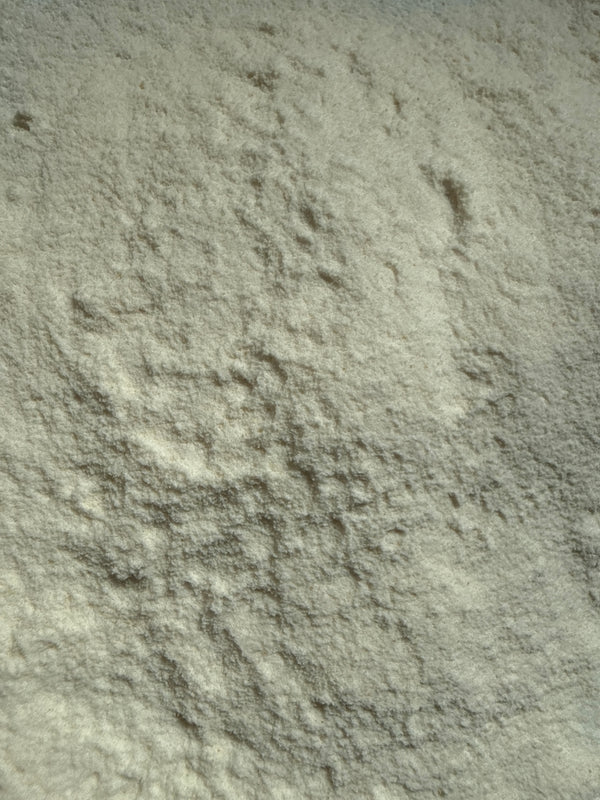 Papain Powder 70mcu – Carica papaya – GARDENS OF THE ANCIENTS®